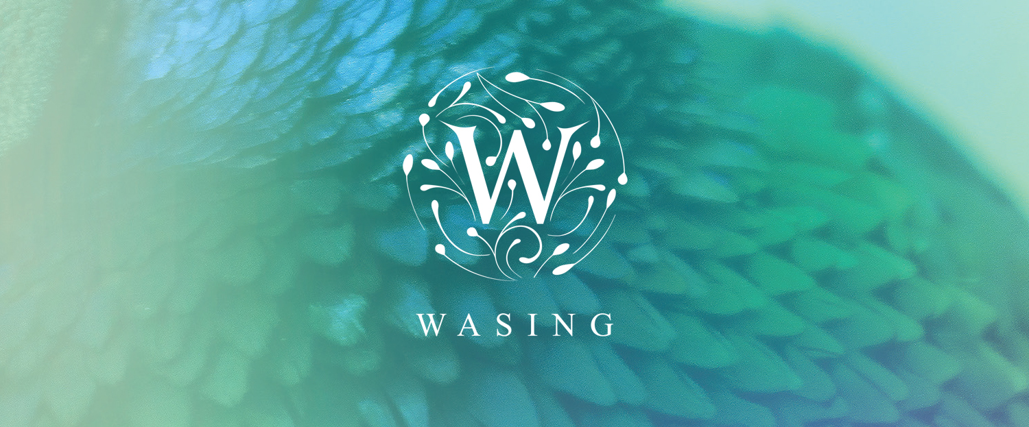 wasing8